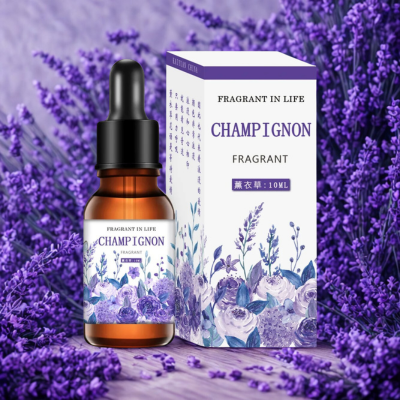 Fraîcheur Voiture Sensation Neuve | CarAirFreshener™