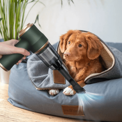 Aspirateur voiture | Silencieux - Venirautomobile.com